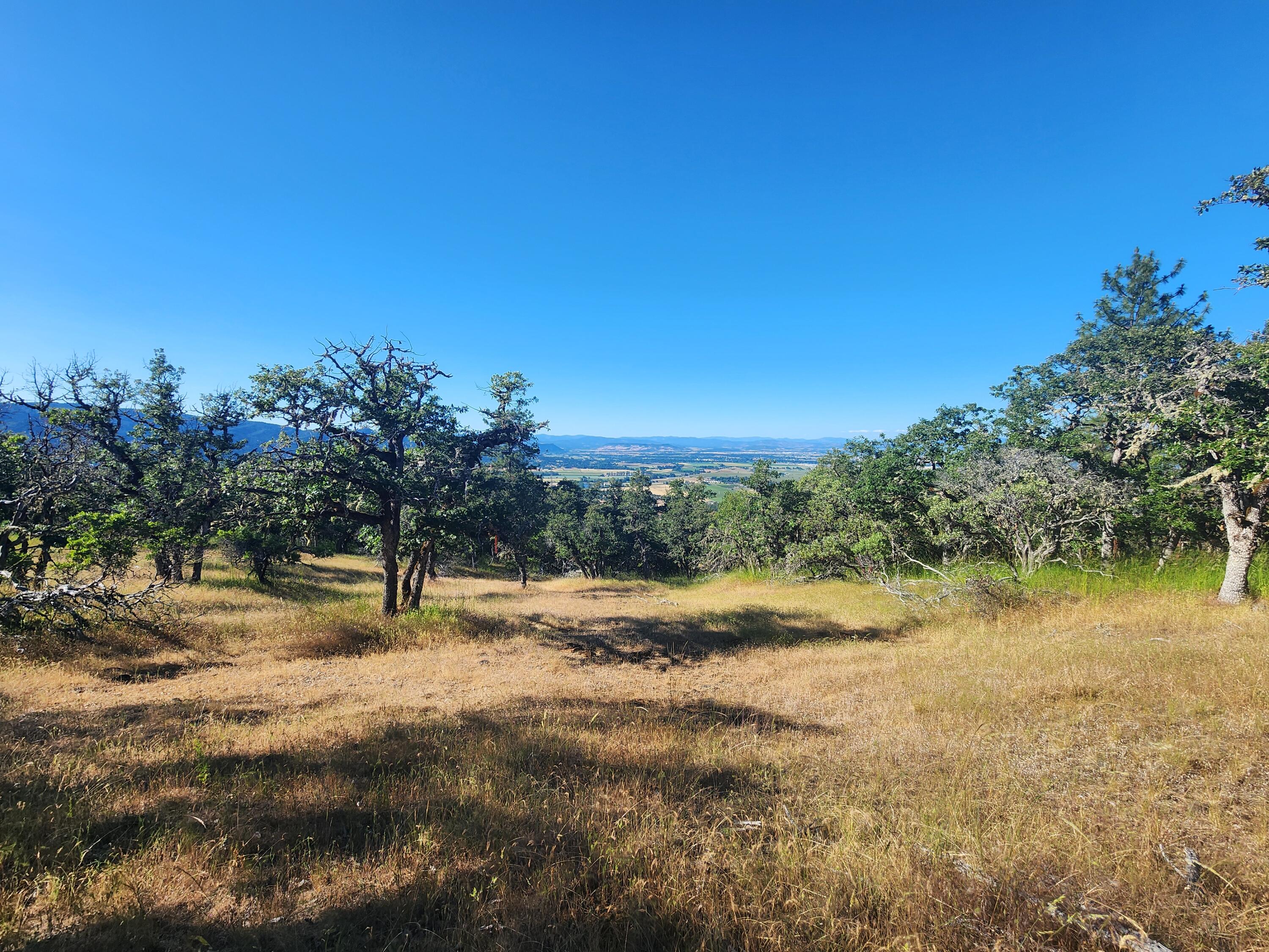 0 West Knowles Road, Unit 3100 Medford, OR 97501 - Photo 16 of 27 Picture 16