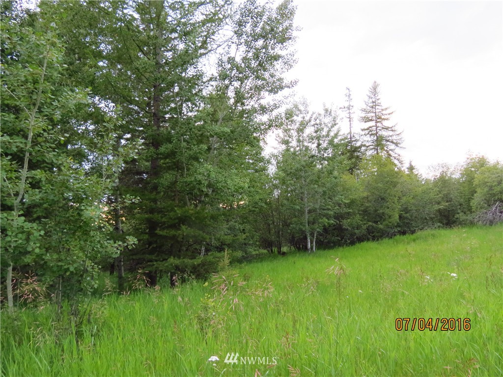 48 B Crystal Butte Road Oroville, WA 98844 - Photo 1 of 11