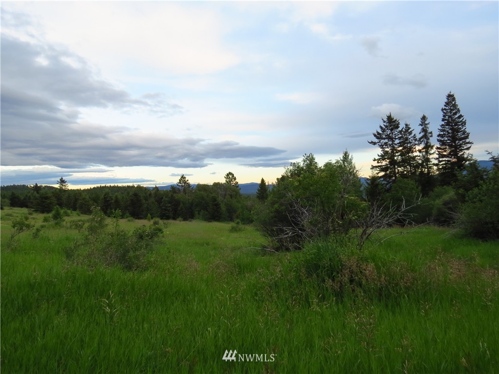 48 B Crystal Butte Road Oroville, WA 98844 - Photo 2 of 11