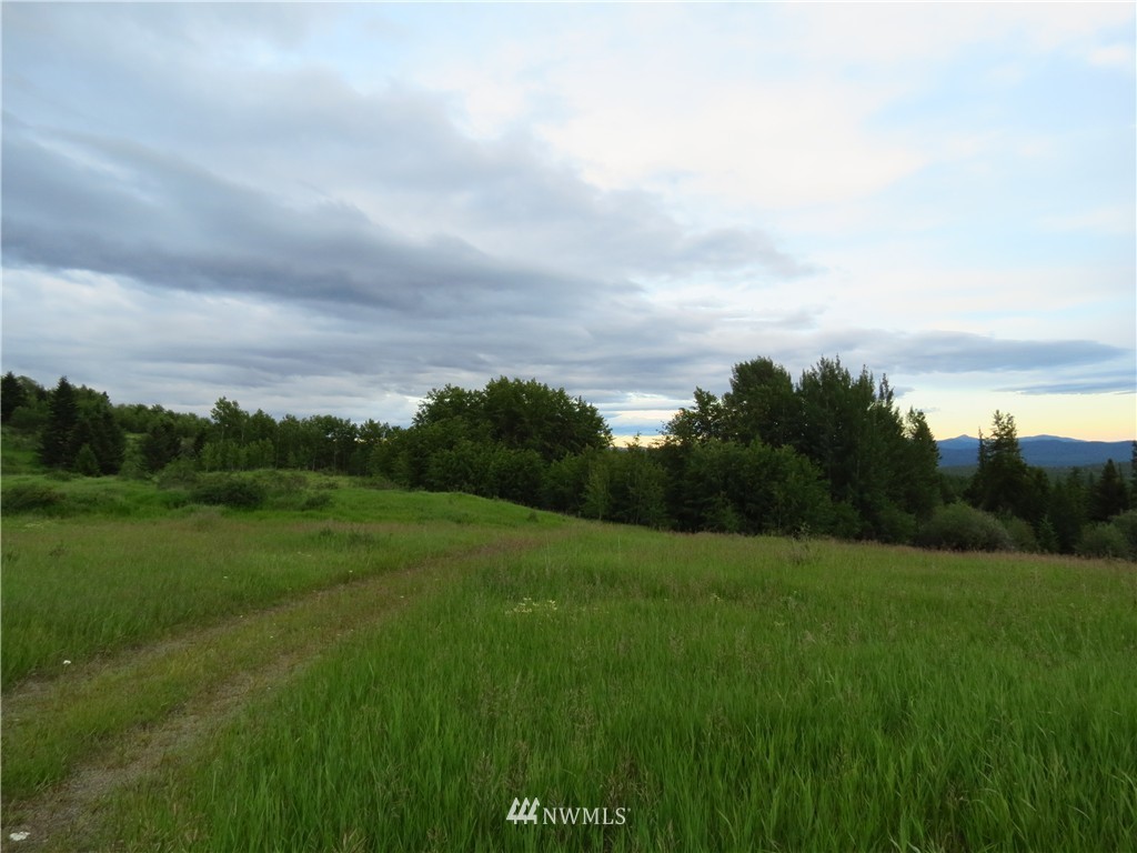 48 B Crystal Butte Road Oroville, WA 98844 - Photo 4 of 11