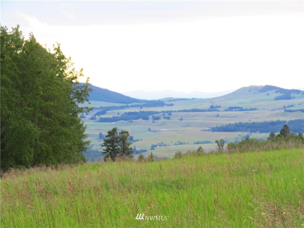 48 B Crystal Butte Road Oroville, WA 98844 - Photo 5 of 11