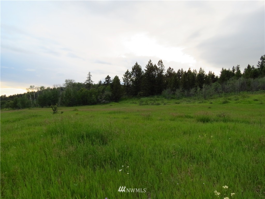 48 B Crystal Butte Road Oroville, WA 98844 - Photo 7 of 11