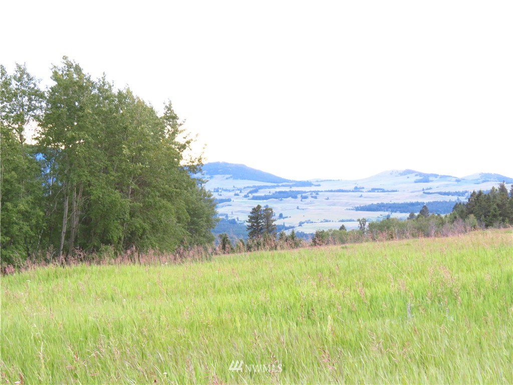 48 B Crystal Butte Road Oroville, WA 98844 - Photo 9 of 11
