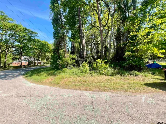 a view of backyard of house