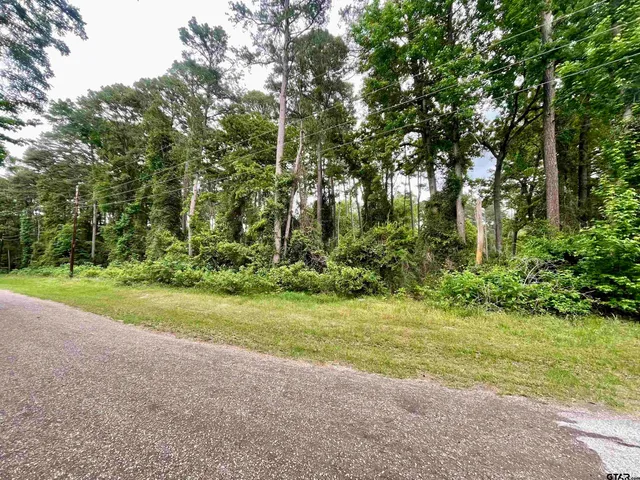 a view of a yard with a tree