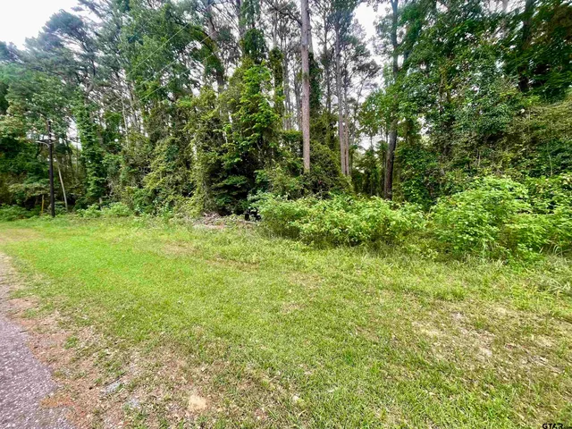 a view of a green field with lots of bushes