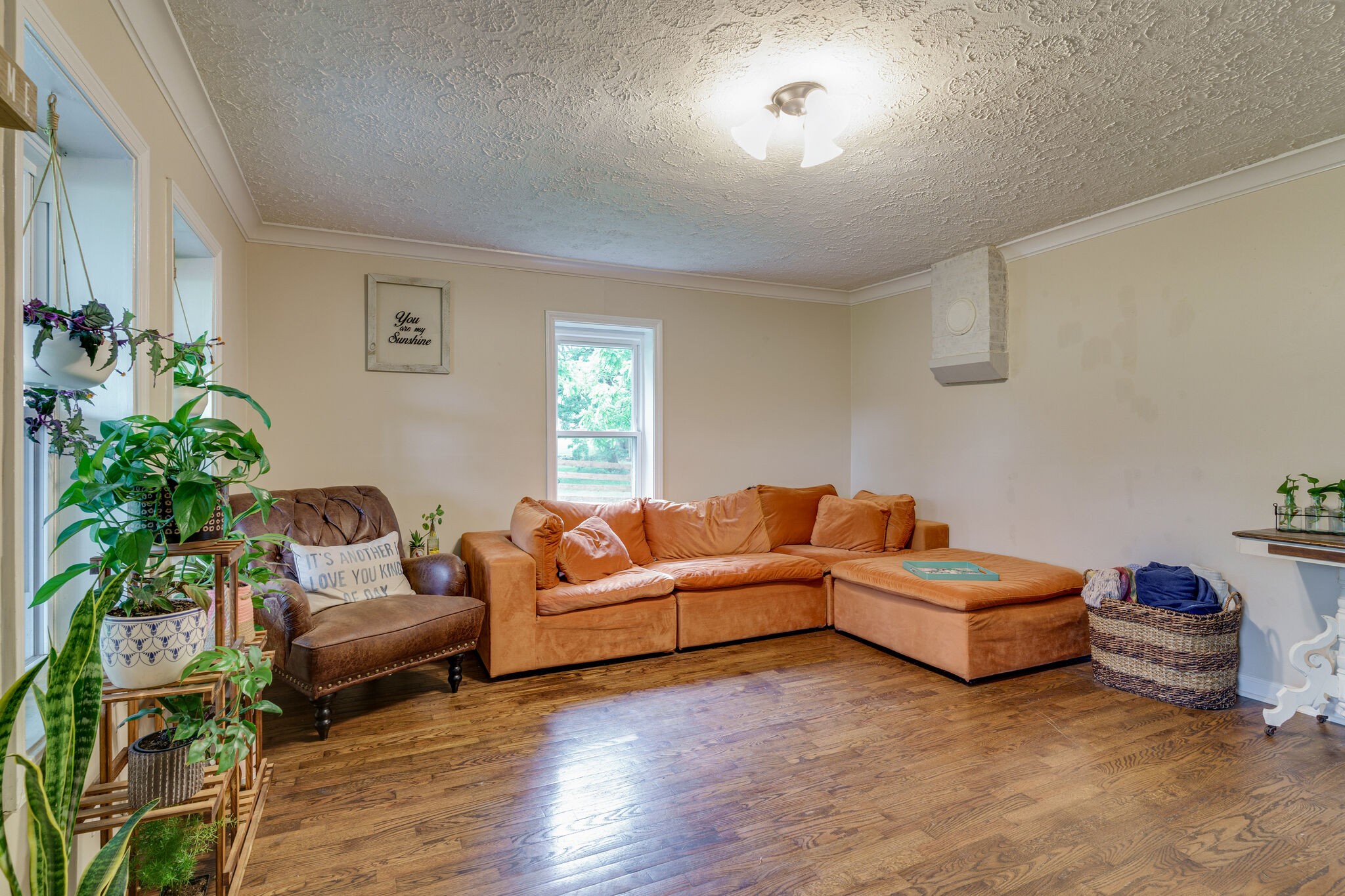 1521 Hogan Road Burns, TN 37029 - Photo 8 of 33 a living room with furniture and a potted plant