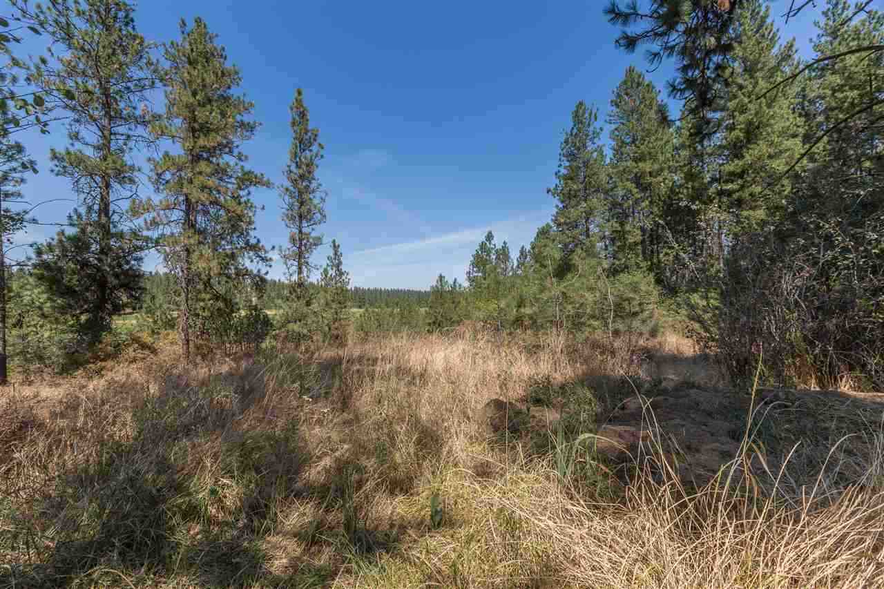 4616 West Taylor Road Cheney, WA 99004 - Photo 17 of 20