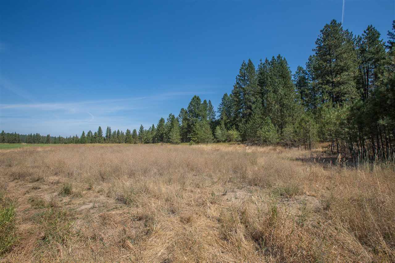 4616 West Taylor Road Cheney, WA 99004 - Photo 18 of 20
