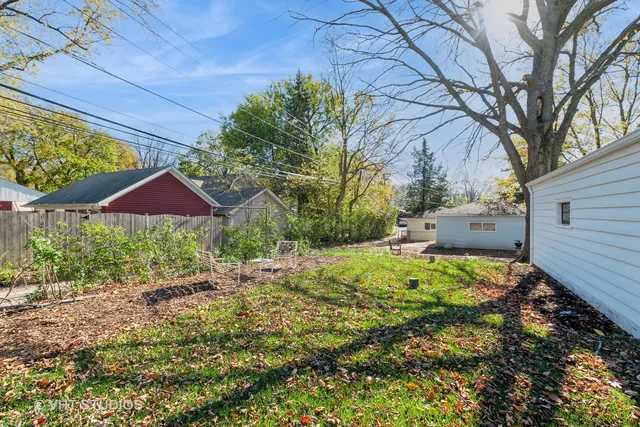 a view of a yard with a large tree