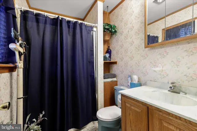 a bathroom with a sink a toilet a mirror and shower curtain
