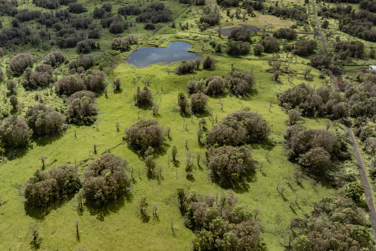 18-4278 Luna Ikena Road Mountain View, HI 96771 - Photo 19 of 30