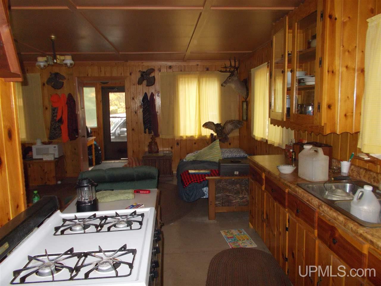 190-acres Clark Creek Road Ishpeming, MI 49849 - Photo 6 of 25 Gallery Image 6