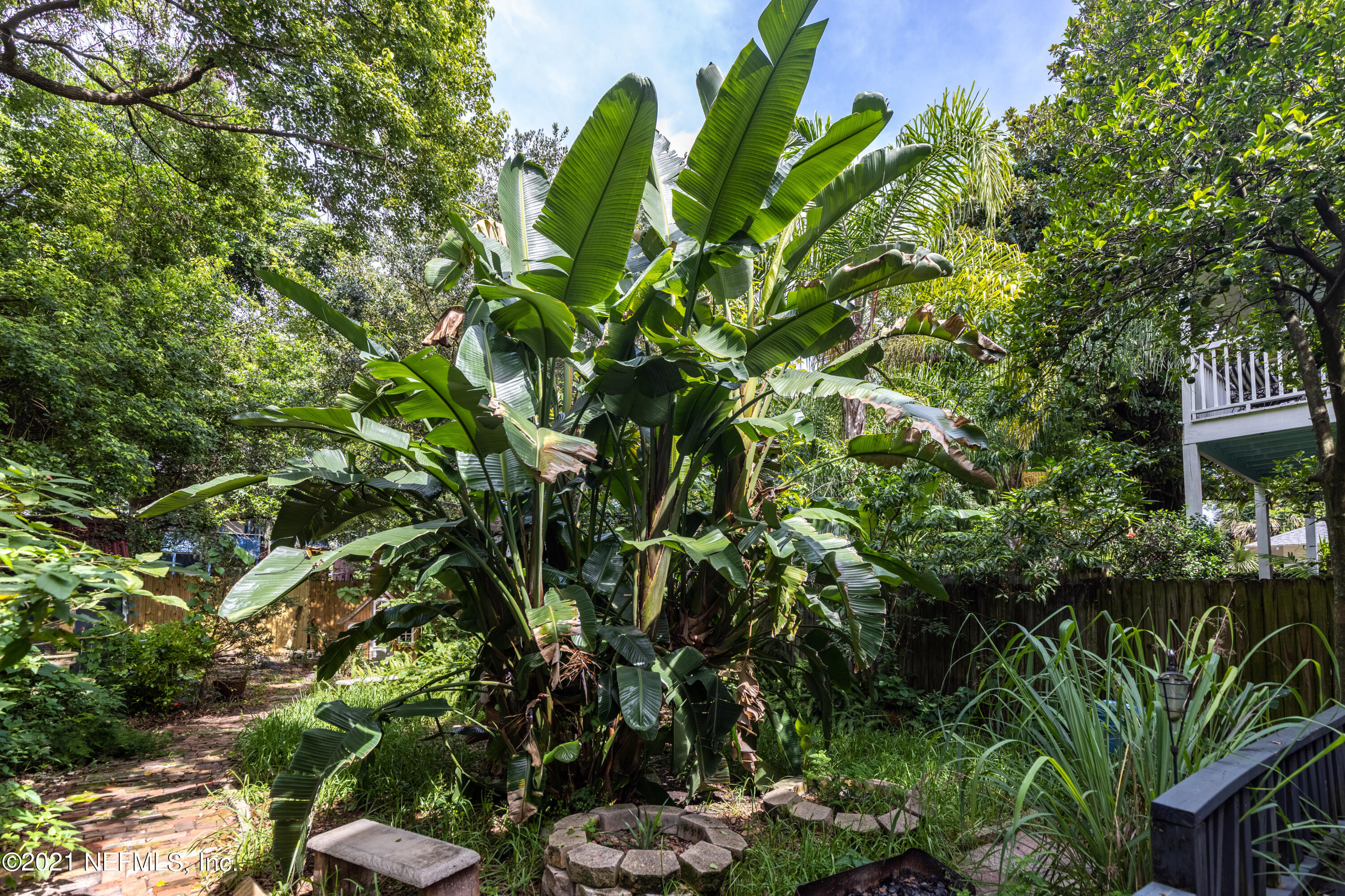 1532 Perry Street Jacksonville, FL 32206 - Photo 37 of 58 a view of a plant in a garden