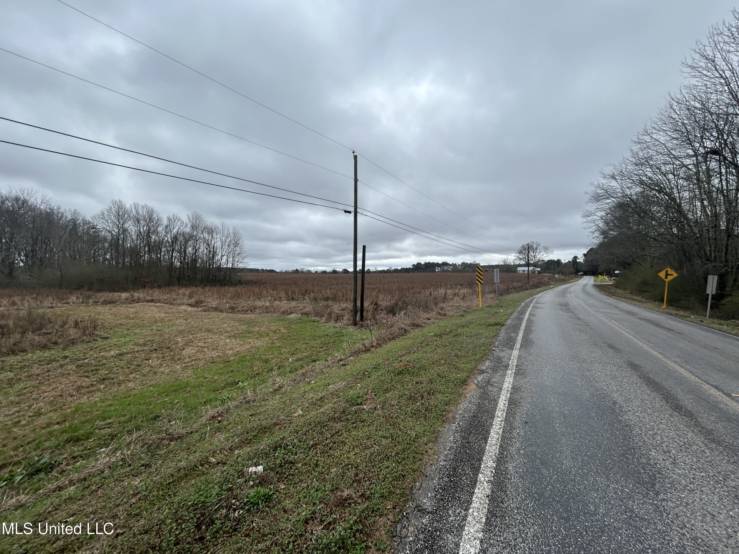 1 Old Hillsboro Road Forest, MS 39074 - Photo 2 of 2 IMG_2557 (5)