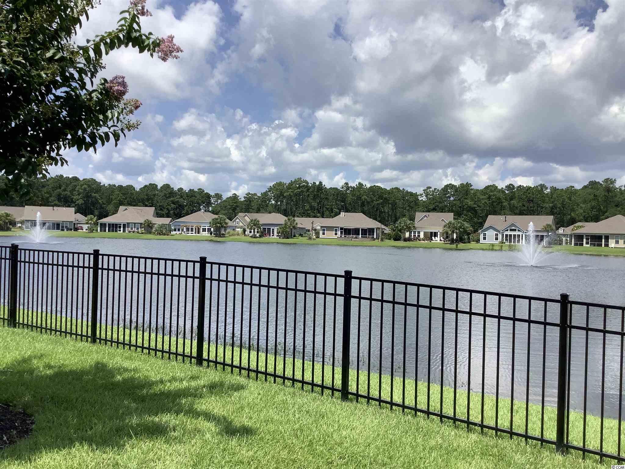 115 Hyacinth Loop Murrells Inlet, SC 29576 - Photo 29 of 40 Gallery Image 29