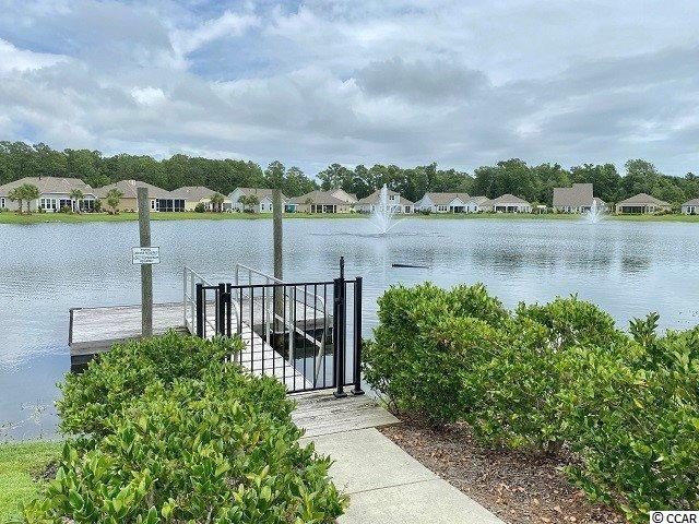 115 Hyacinth Loop Murrells Inlet, SC 29576 - Photo 39 of 40 Gallery Image 39