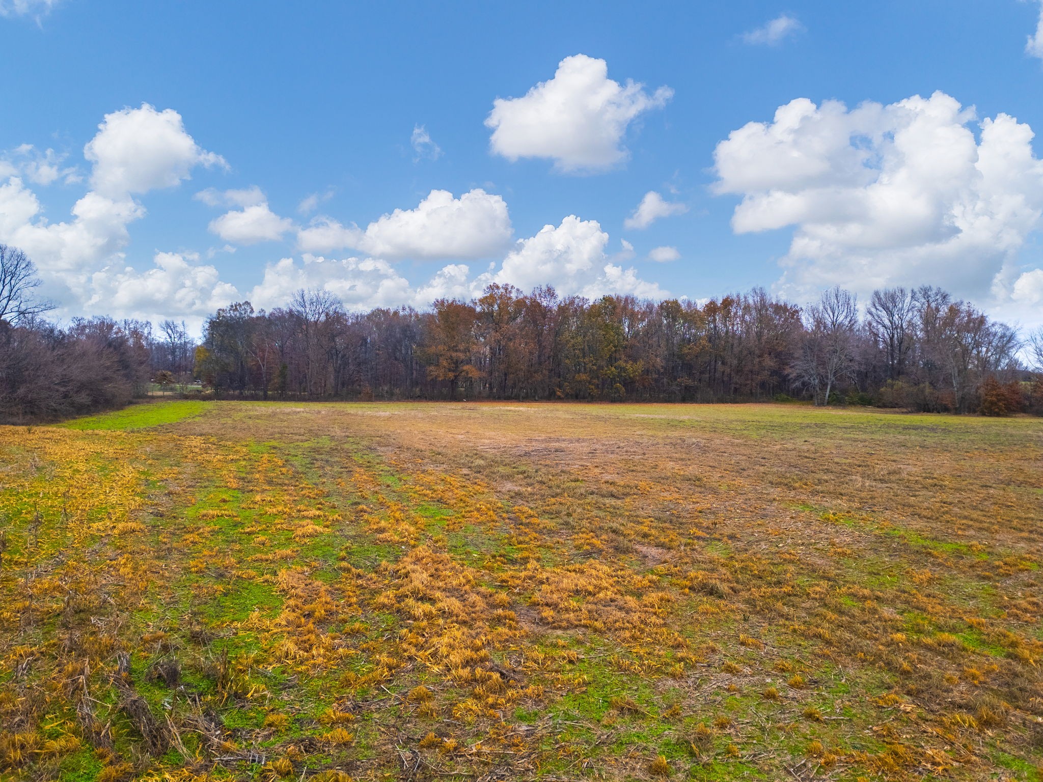 0 Hopewell Road Springfield, TN 37172 - Photo 11 of 14