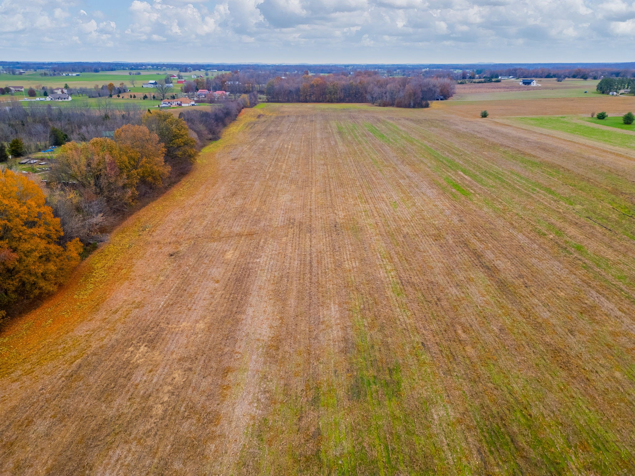 0 Hopewell Road Springfield, TN 37172 - Photo 4 of 14