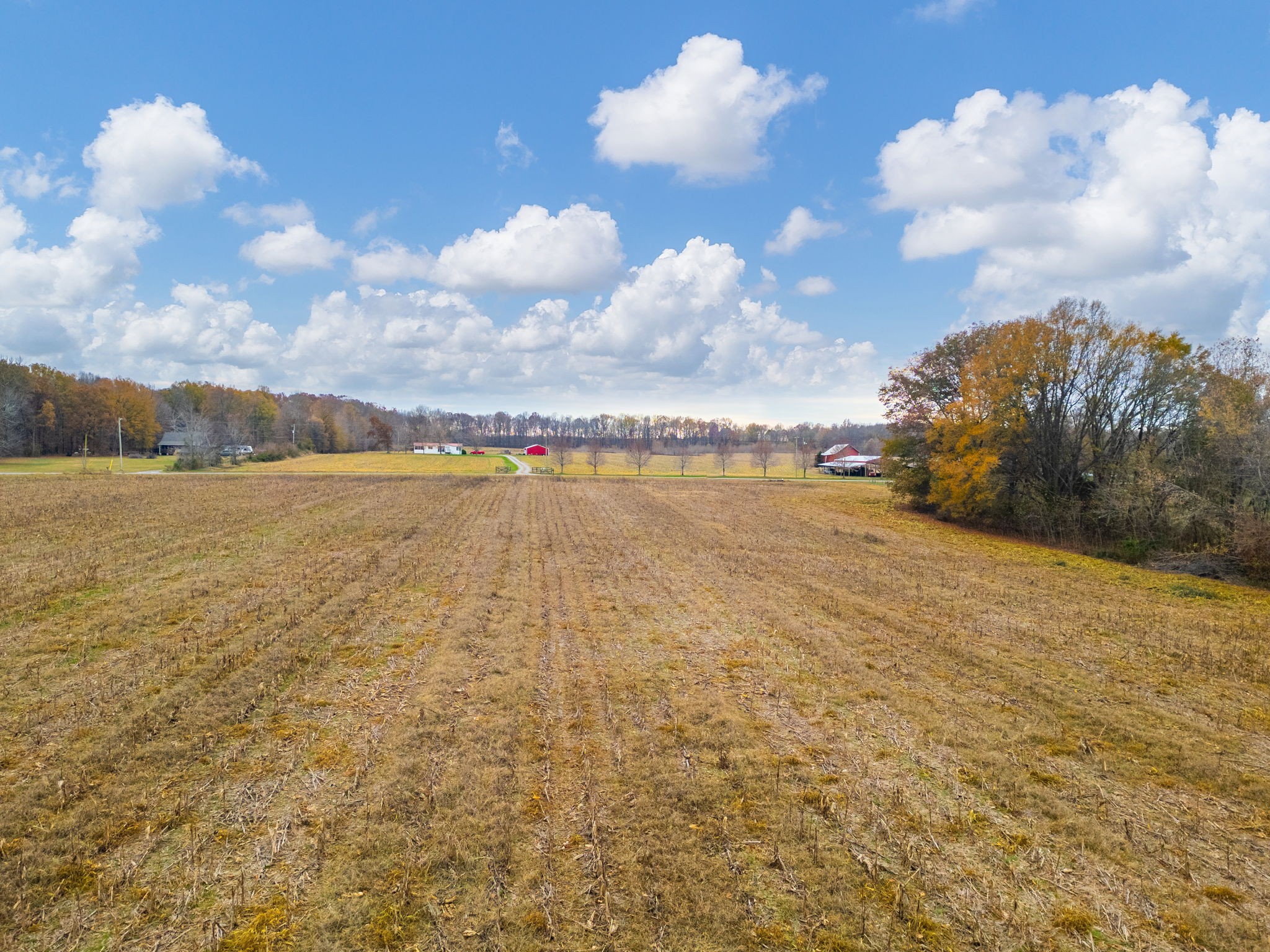 0 Hopewell Road Springfield, TN 37172 - Photo 5 of 14
