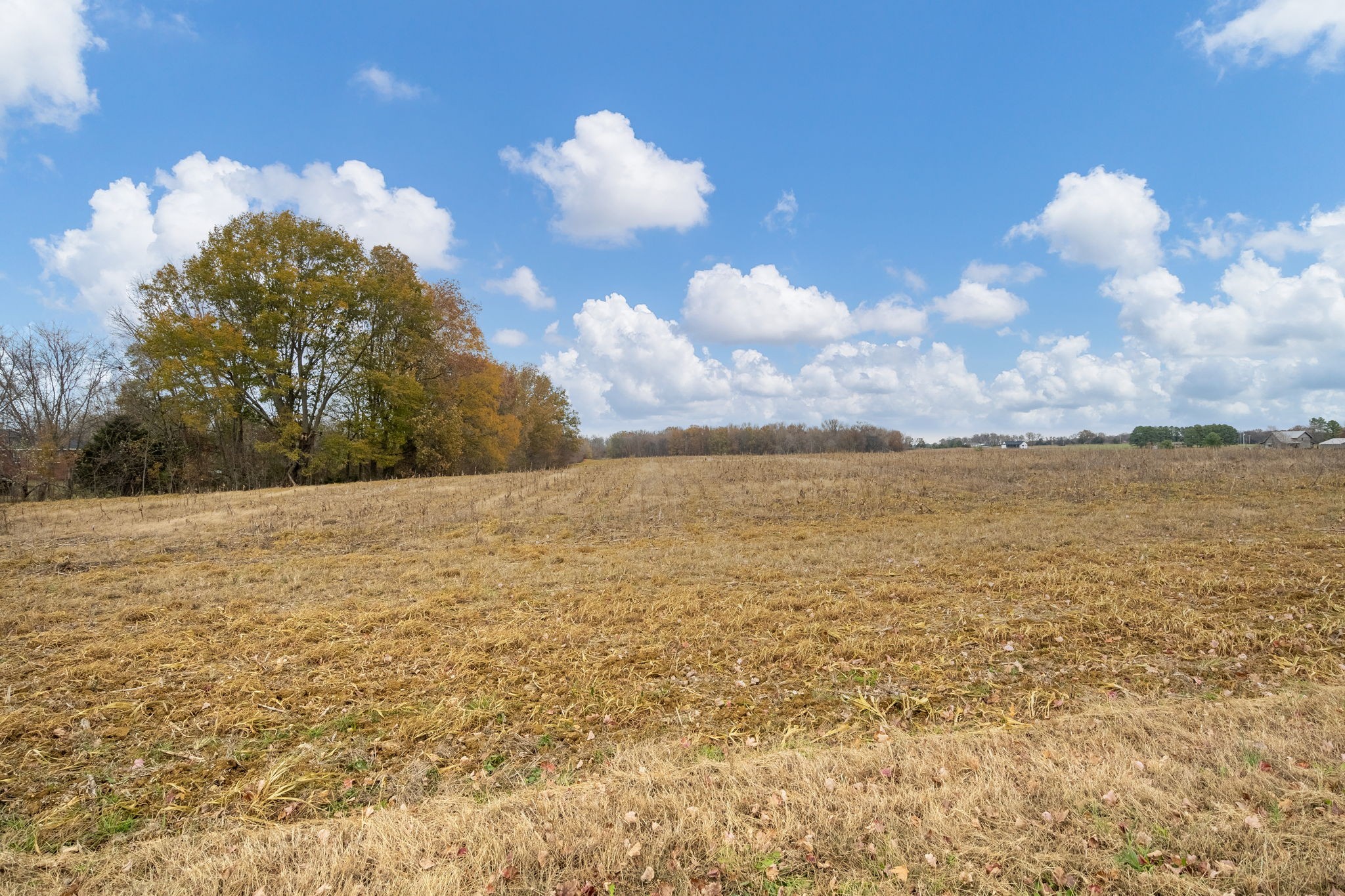 0 Hopewell Road Springfield, TN 37172 - Photo 6 of 14