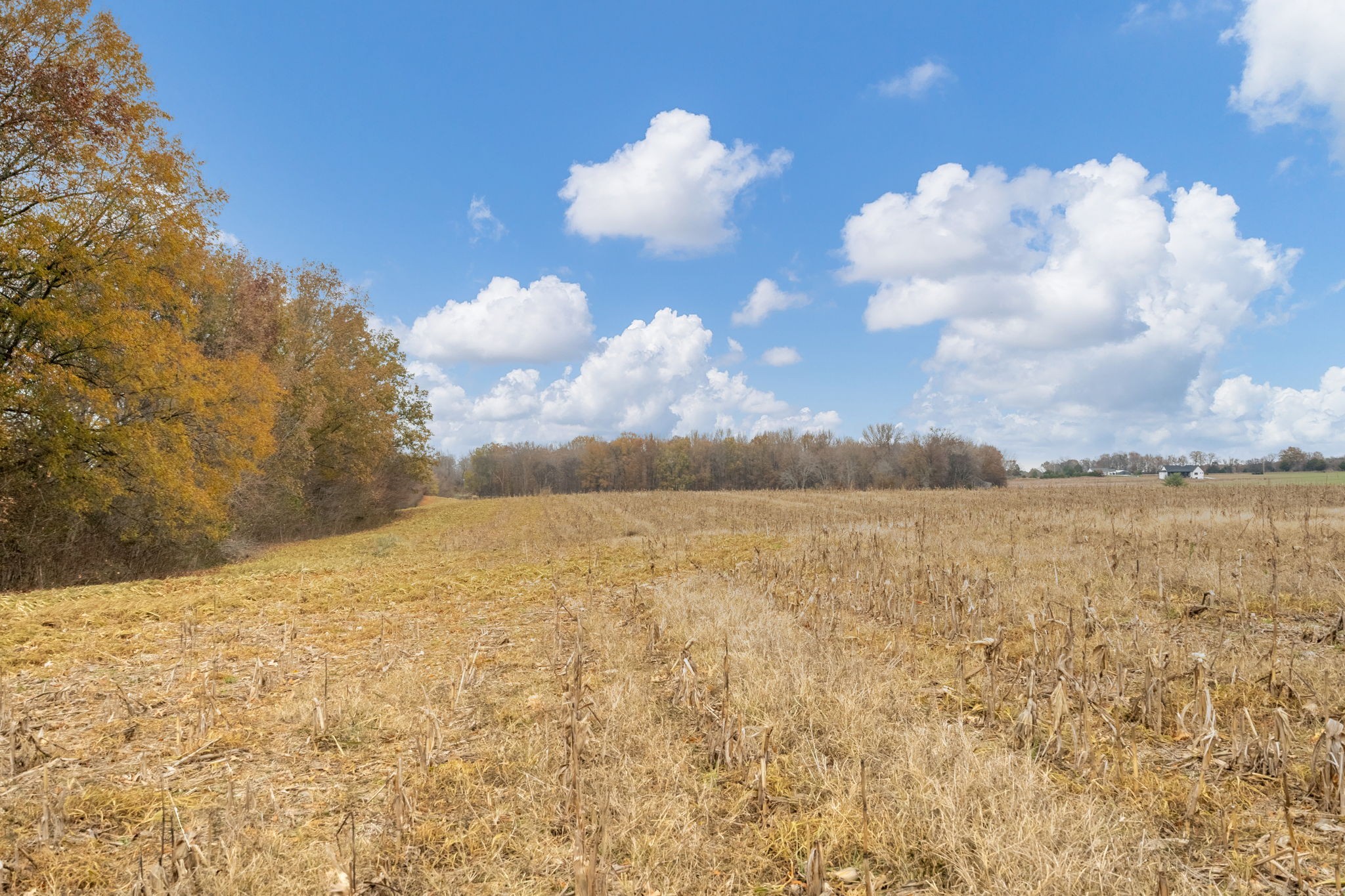 0 Hopewell Road Springfield, TN 37172 - Photo 7 of 14
