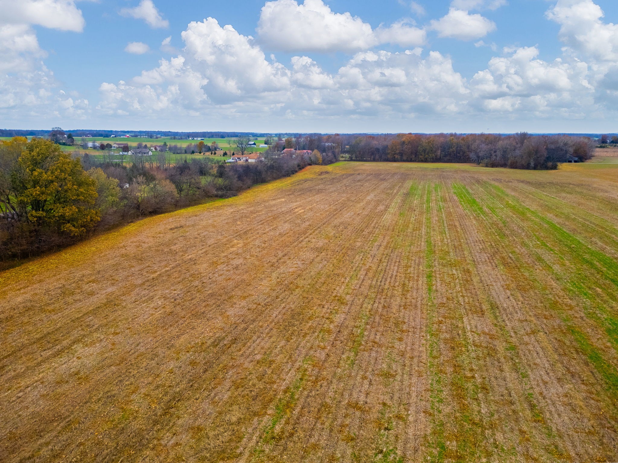 0 Hopewell Road Springfield, TN 37172 - Photo 8 of 14