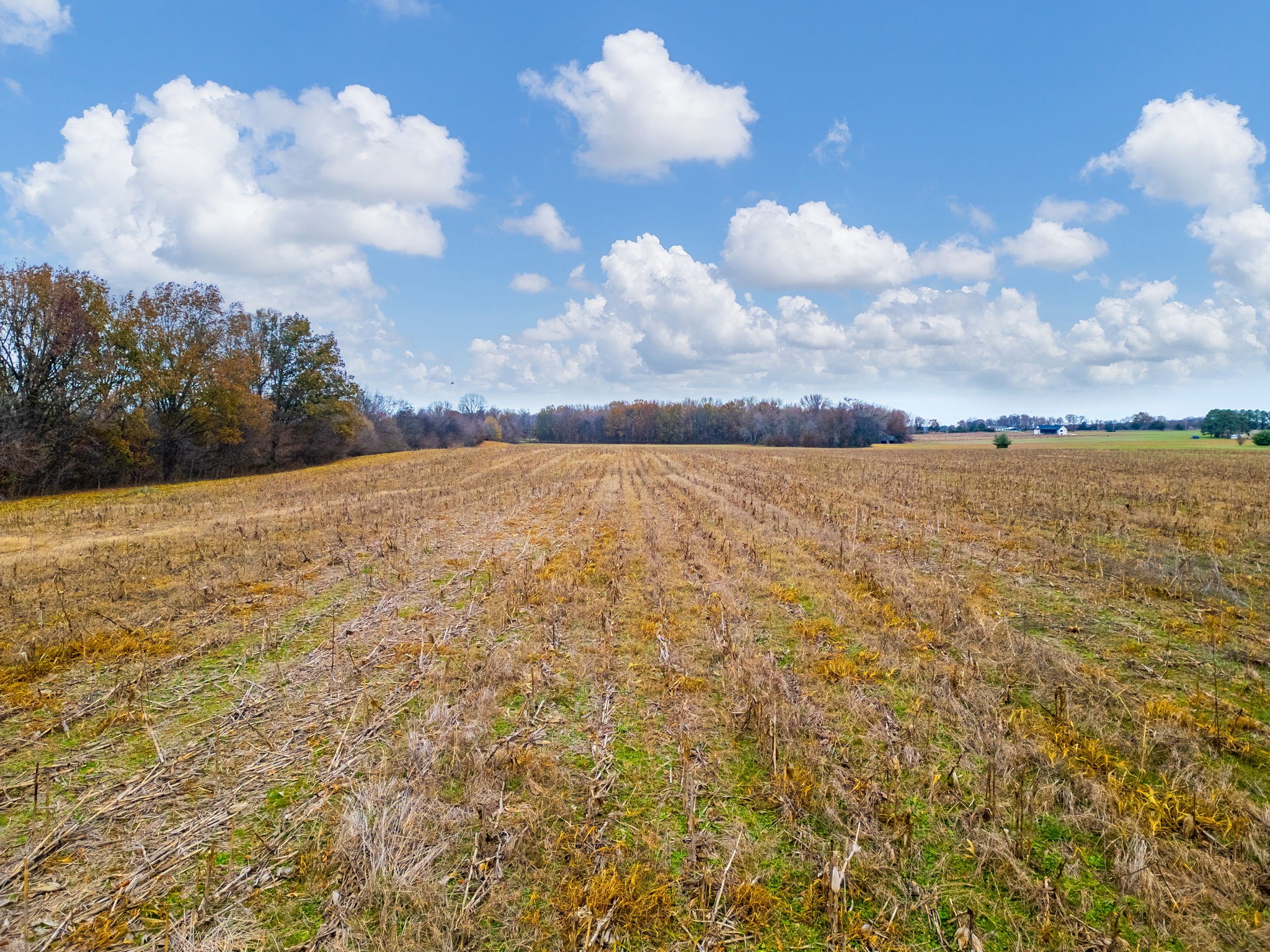 0 Hopewell Road Springfield, TN 37172 - Photo 9 of 14