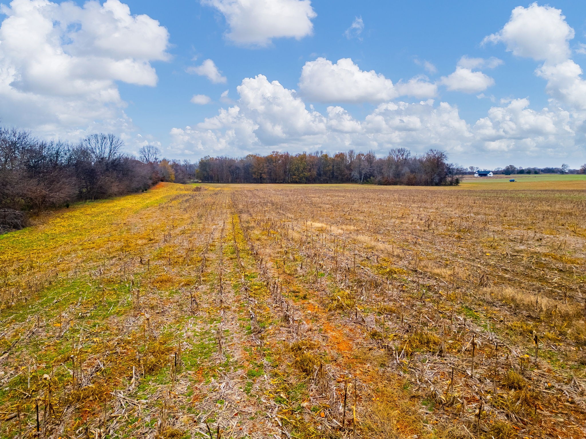0 Hopewell Road Springfield, TN 37172 - Photo 10 of 14