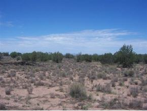 73 West Java Ash Fork Ash Fork, AZ 86320 - Photo 8 of 8 Additional Photo