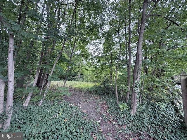 802 Westview Street Philadelphia, PA 19119 - Photo 3 of 13 a view of a forest