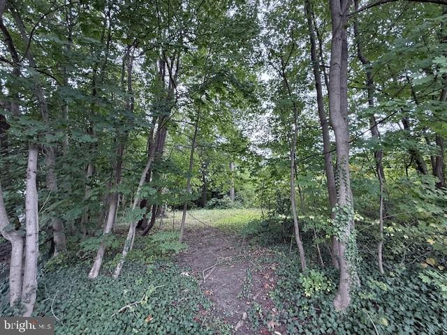802 Westview Street Philadelphia, PA 19119 - Photo 6 of 13 a view of a forest