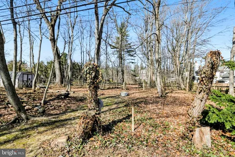 a view of a yard with trees