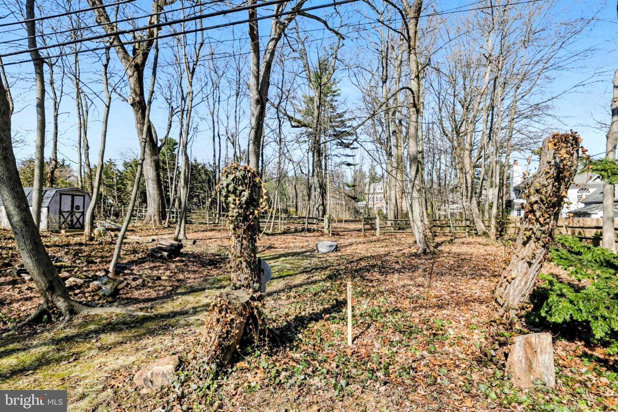 802 Westview Street Philadelphia, PA 19119 - Photo 7 of 13 a view of a yard with trees