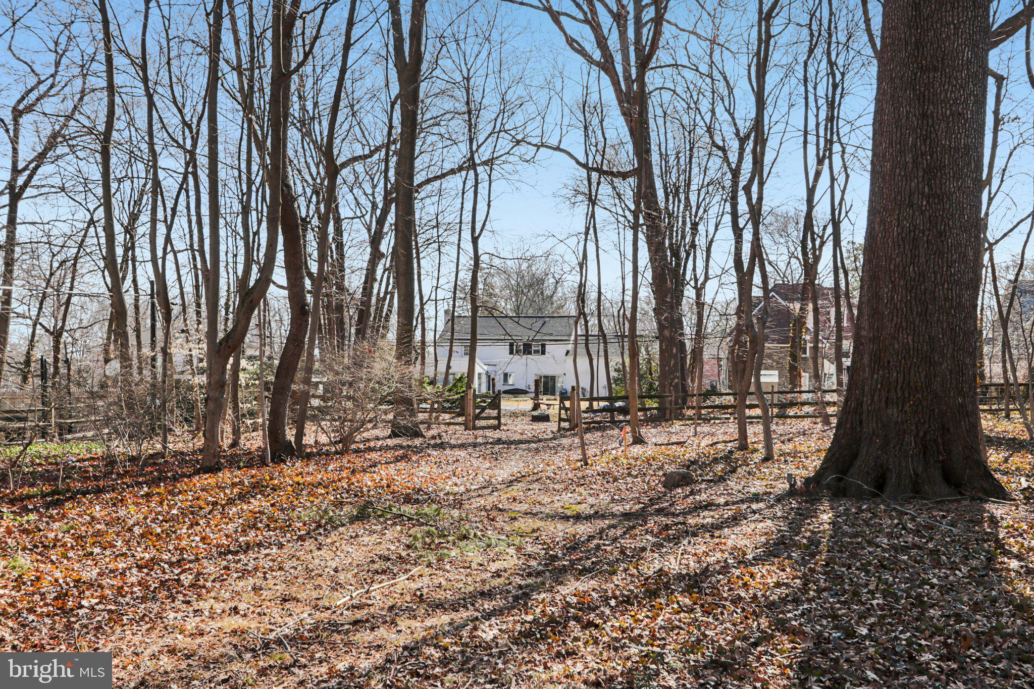 802 Westview Street Philadelphia, PA 19119 - Photo 10 of 13 a view of a yard with trees