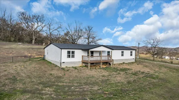 a white house that has a tree in front of it