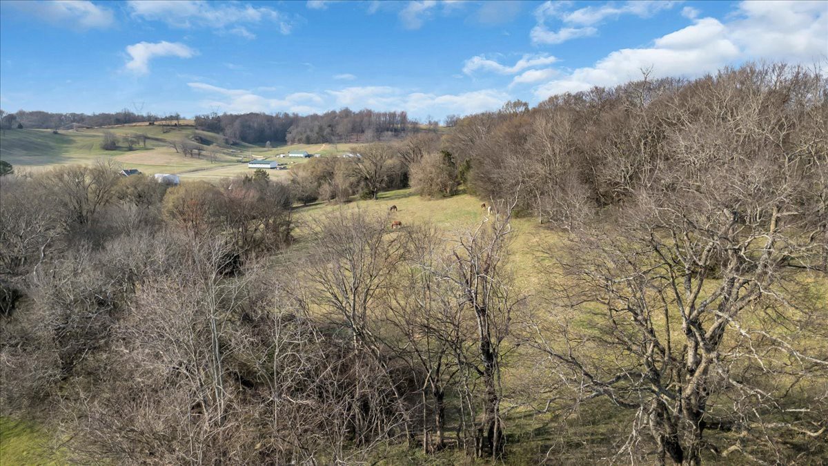 2096 Coleman Road Cornersville, TN 37047 - Photo 26 of 35