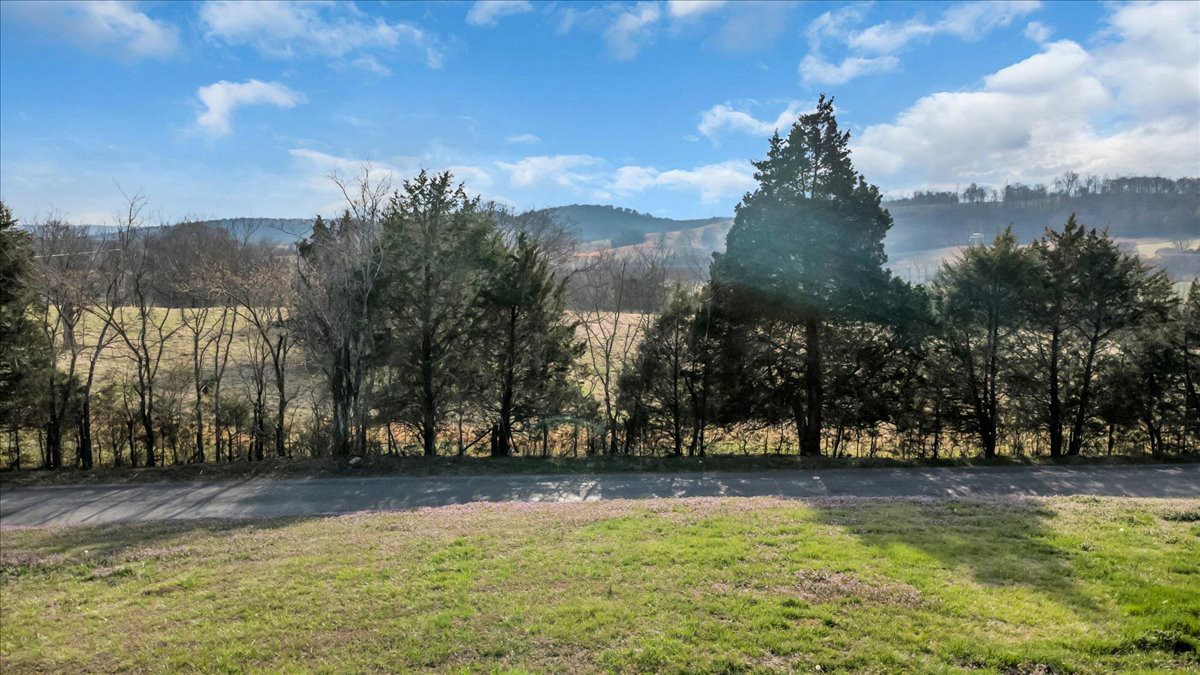 2096 Coleman Road Cornersville, TN 37047 - Photo 35 of 35