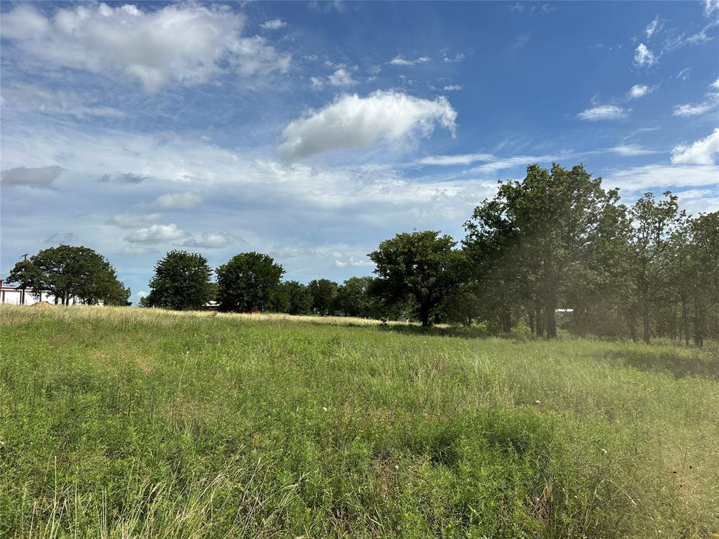 570 Big Salty Lane Springtown, TX 76082 - Photo 27 of 36 Expansive grassy field offering open space and mature trees, featuring a distant structure with a white exterior and a red roof accent
