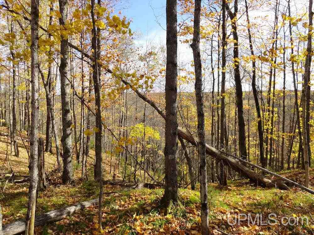 Paint River Parks Farm Road Crystal Falls, MI 49903 - Photo 10 of 25 Gallery Image 10