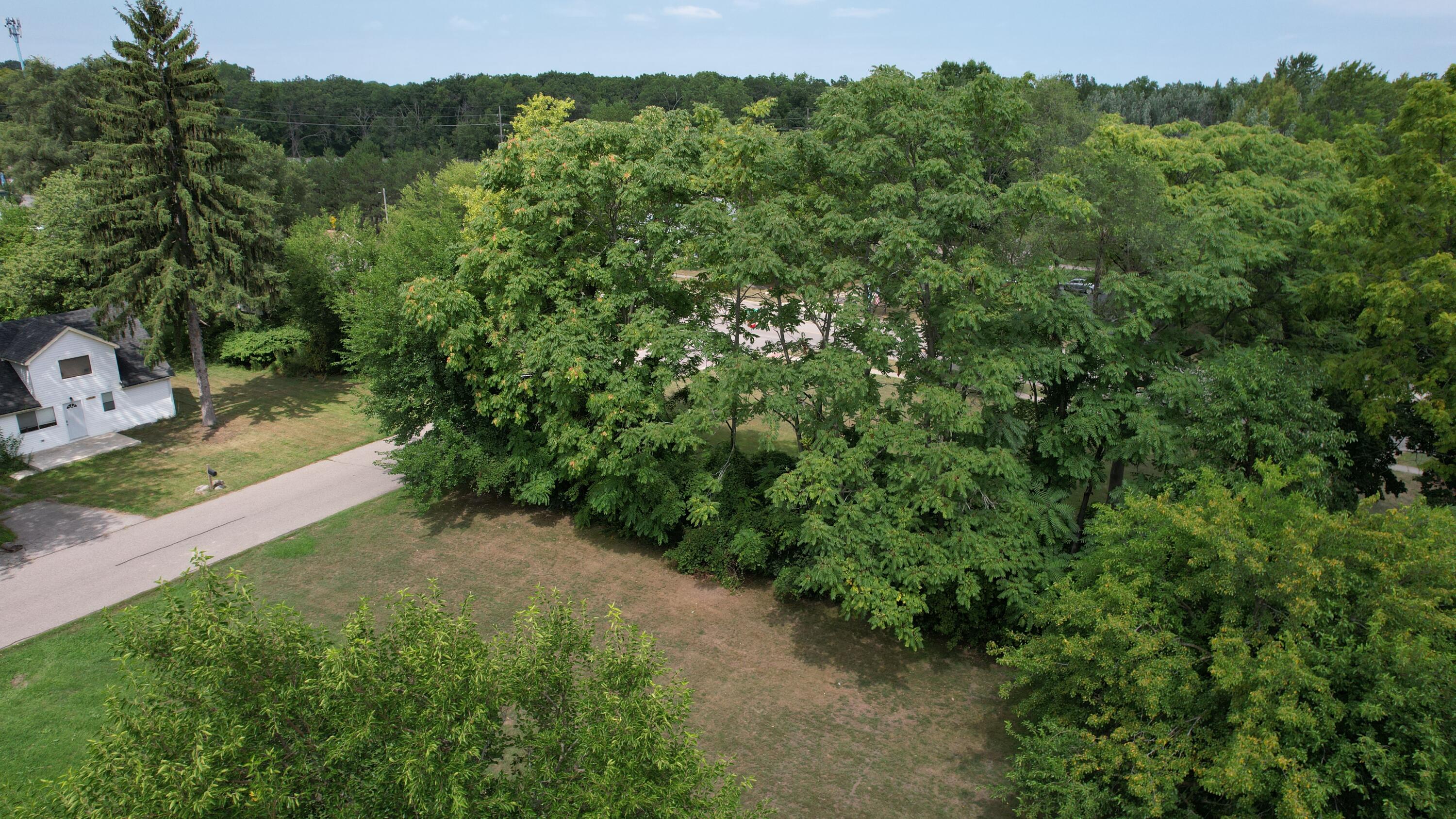 0 Delano Street Romulus, MI 48174 - Photo 6 of 7 dji_fly_20260820_123826_767_178725149611