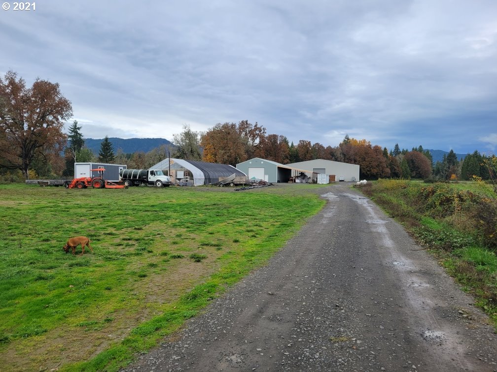 1021 Upper Camas Road Camas Valley, OR 97416 - Photo 24 of 27 a view of a garden with houses