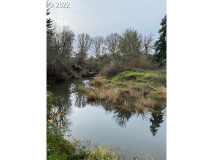 1021 Upper Camas Road Camas Valley, OR 97416 - Photo 26 of 27 a view of a lake from a yard