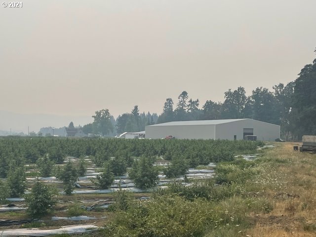1021 Upper Camas Road Camas Valley, OR 97416 - Photo 6 of 27 a view of an outdoor space and a yard