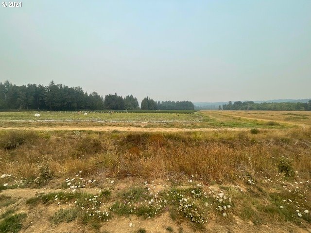 1021 Upper Camas Road Camas Valley, OR 97416 - Photo 7 of 27 a view of an ocean and beach