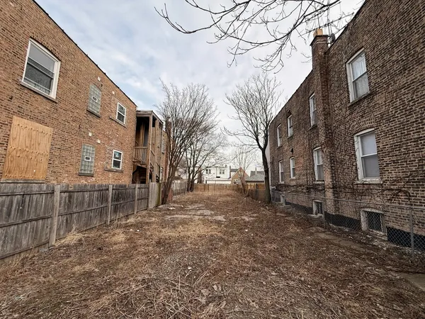 a view of a yard with a large tree