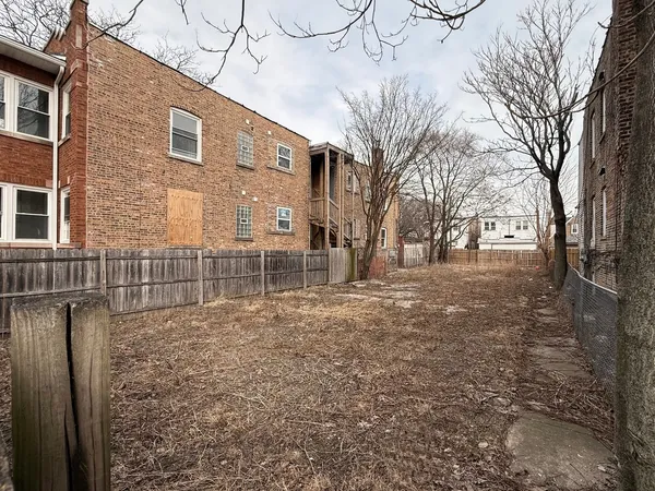a view of a yard with large trees