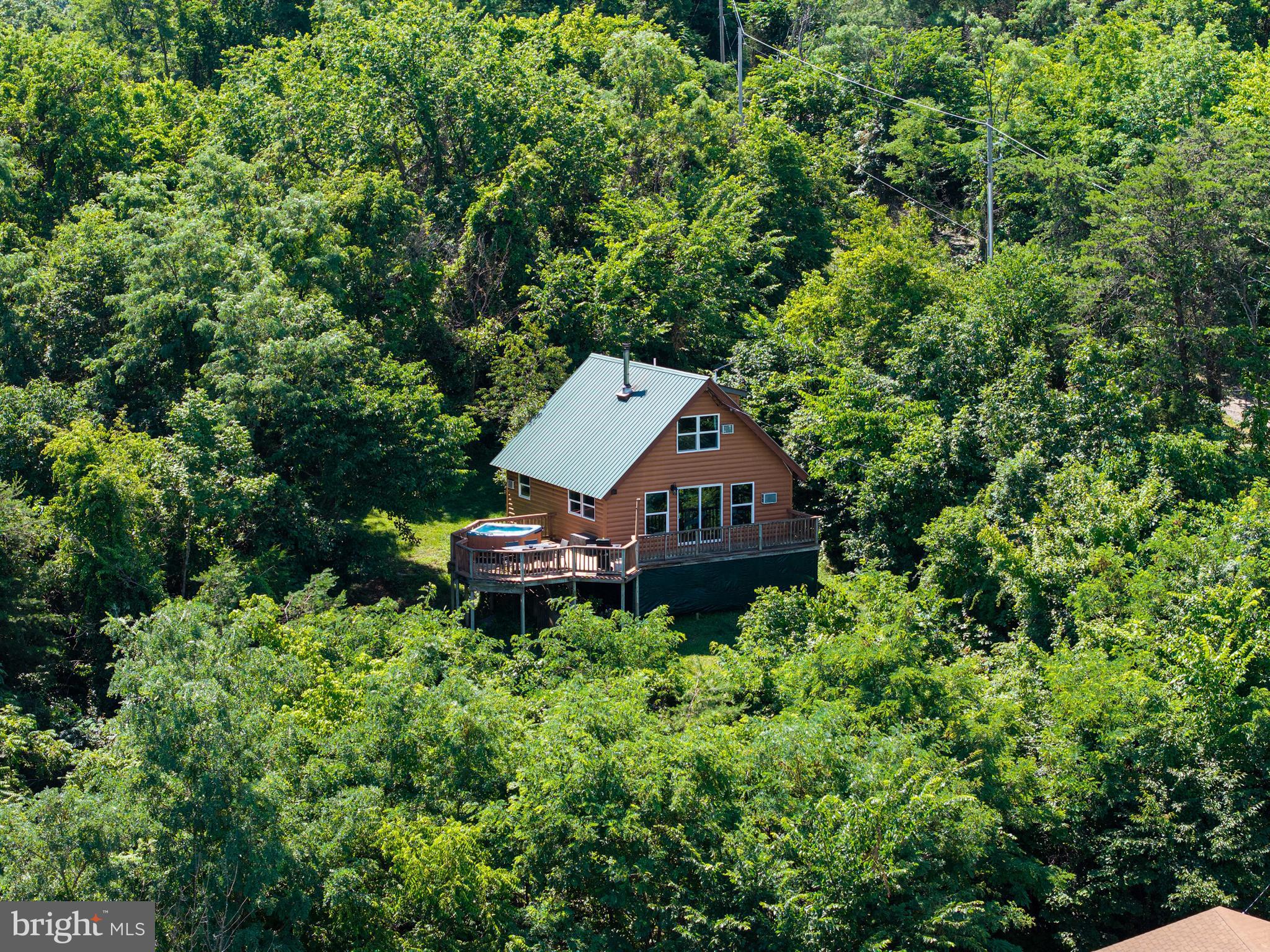 707 Overlook Drive Rileyville, VA 22650 - Photo 72 of 94
