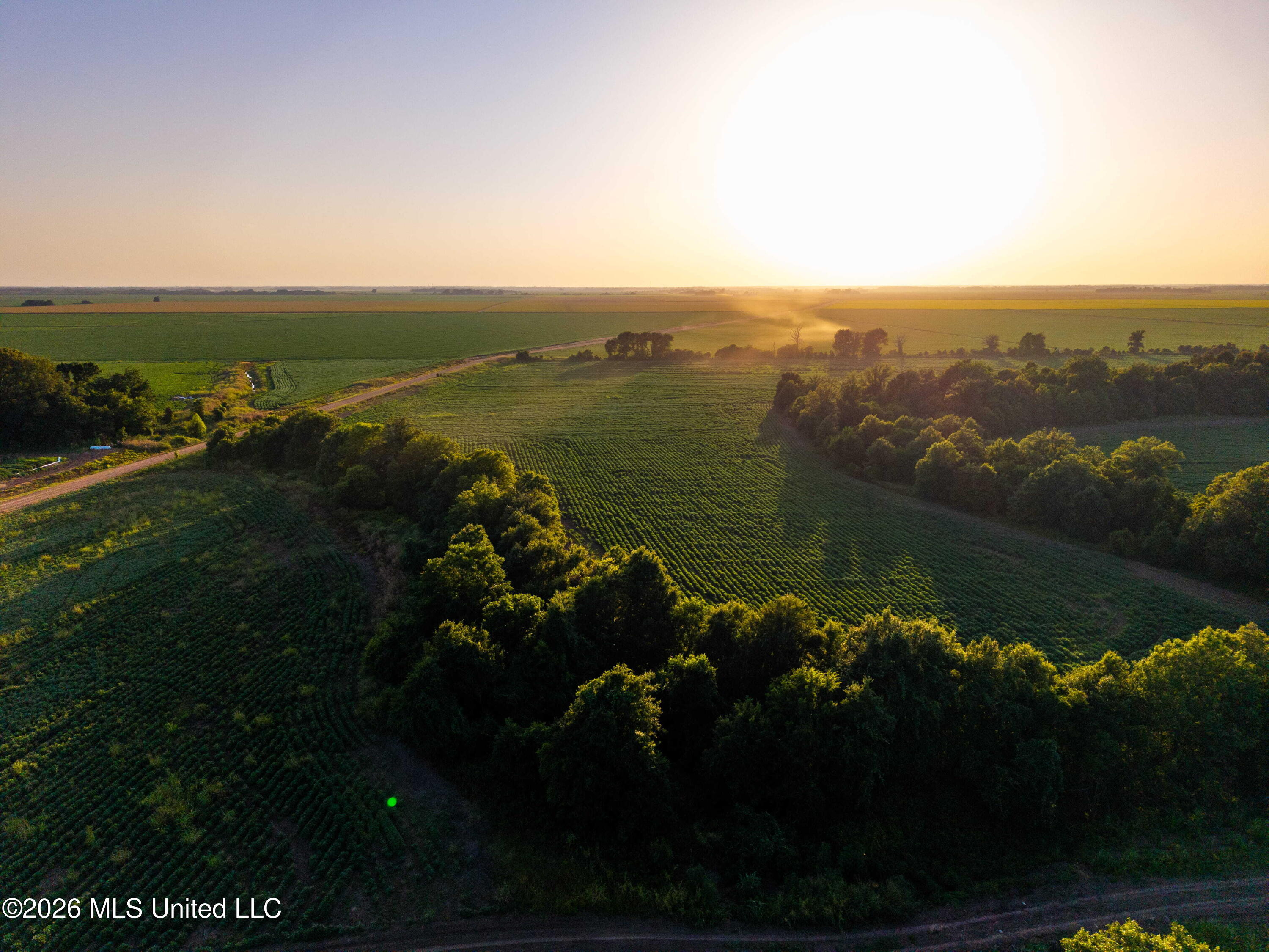 West Sturdivant White Rock Road Drew, MS 38737 - Photo 7 of 31 DJI_20250722192524_0055_D-2