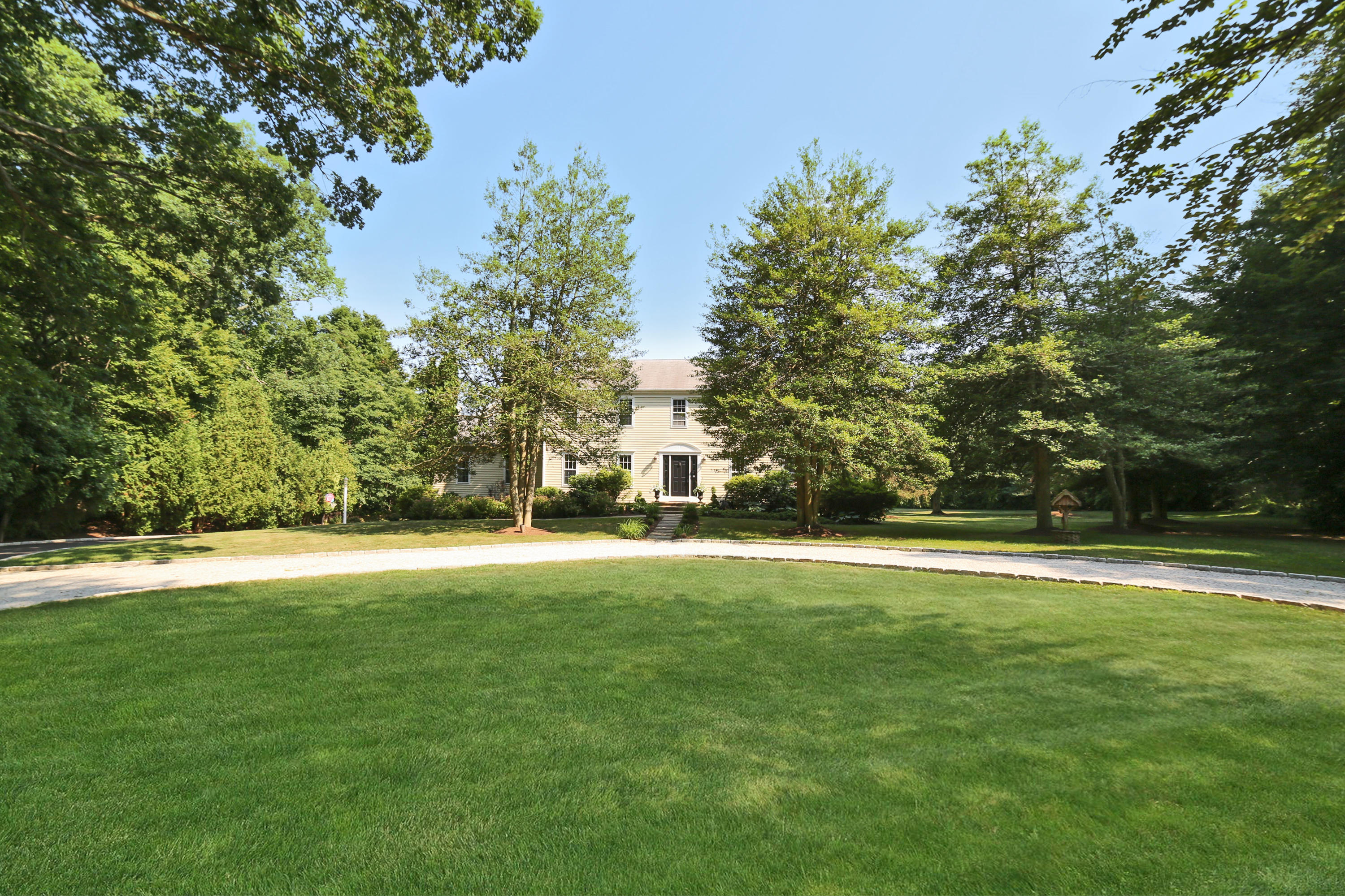 48 Hoyt Farm Road New Canaan, CT 06840 - Photo 7 of 26 a view of a tall trees with a big yard and large trees